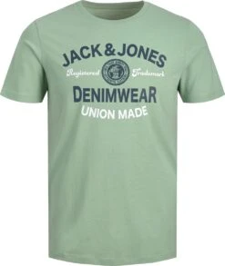 Jack & Jones Junior T-shirt Jjelogo Tee Ss O-neck 2col Aw22 Noo 12213081 Granite Green