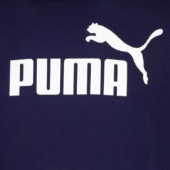 PUMA Ess Big Logo Hoodie Fl Heren Trui - Maat M -Casio Verkoop 1200x1200 1256