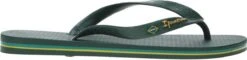 Ipanema Classic Brasil Slippers Heren - Green - Maat 45/46 -Casio Verkoop 1200x290