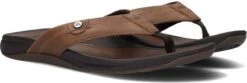 Reef Pacific Le Heren Slippers - Bruin - Maat 44 -Casio Verkoop 1200x405 3