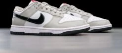 Nike Dunk Low Light Iron Ore (W) DQ7576-001 Maat 40.5 Kleur Als Op Foto Schoenen -Casio Verkoop 1200x519 11