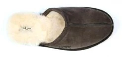 UGG M Scuff Heren Sloffen - Donkerbruin - Maat 43 23 UGG M Scuff Heren Sloffen - Donkerbruin - Maat 43 -Casio Verkoop 1200x564 10
