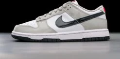 Nike Dunk Low Light Iron Ore (W) DQ7576-001 Maat 40.5 Kleur Als Op Foto Schoenen -Casio Verkoop 1200x593 7