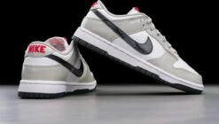 Nike Dunk Low Light Iron Ore (W) DQ7576-001 Maat 40.5 Kleur Als Op Foto Schoenen -Casio Verkoop 1200x678 1