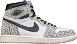 Nike Air Jordan 1 Retro High OG White Cement DZ5485-052 Maat 39 WIT Schoenen