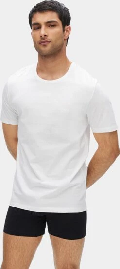 HUGO BOSS Classic T-shirts Regular Fit (3-pack) - Heren T-shirts O-hals - Zwart - Grijs - Wit - Maat: XL -Casio Verkoop 538x1200 2