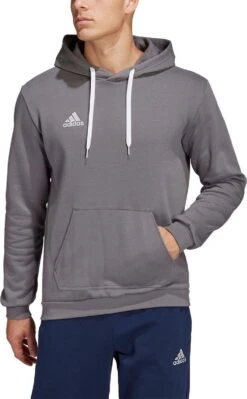 Adidas - Entrada 22 Hoodie - Grijze Hoodie Heren-L