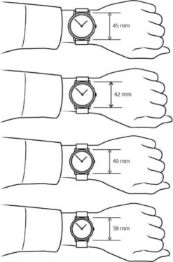 Pulsar PJ6061X1 Heren Horloge 38 Mm - Zilverkleurig -Casio Verkoop 792x1200 5