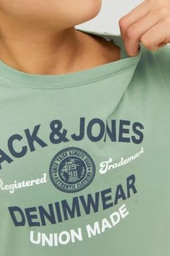 Jack & Jones Junior T-shirt Jjelogo Tee Ss O-neck 2col Aw22 Noo 12213081 Granite Green -Casio Verkoop 800x1200 164