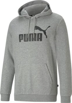 PUMA Ess Big Logo Hoodie Fl Heren Trui - Maat L -Casio Verkoop 839x1200 1