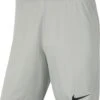 Nike Park III Sportbroek - Maat XL - Mannen - Licht Grijs 2 Nike Park III Sportbroek - Maat XL - Mannen - Licht Grijs -Casio Verkoop 995x1200 1